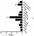 Fig. 05 - PEPTIDE PET/SPECT PROBES SPECIFIC TO ONCOPROTEINS IN TUMOR EXTRACELLULAR MATRIX
