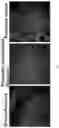 Fig. 10 - PEPTIDE PET/SPECT PROBES SPECIFIC TO ONCOPROTEINS IN TUMOR EXTRACELLULAR MATRIX