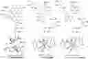 Fig. 01 - Chelating platform for delivery of radionuclides