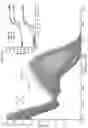 Fig. 11 - Chelating platform for delivery of radionuclides