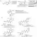 Fig. 02 - FLUORINATION METHOD