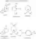 Fig. 53 - FLUORINATION METHOD