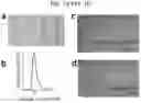 Fig. 02 - Compositions of and methods of making ferritin-based imaging agents