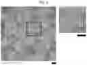 Fig. 03 - Compositions of and methods of making ferritin-based imaging agents
