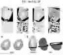 Fig. 04 - Compositions of and methods of making ferritin-based imaging agents