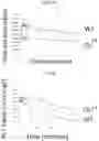 Fig. 11 - Compositions of and methods of making ferritin-based imaging agents