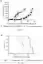Fig. 14 - CHELATORS AND METHODS OF MAKING AND USING SAME