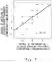 Fig. 08 - Information processing system, information processing method, and program