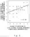 Fig. 09 - Information processing system, information processing method, and program