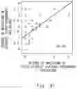 Fig. 11 - Information processing system, information processing method, and program