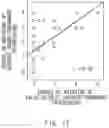 Fig. 13 - Information processing system, information processing method, and program