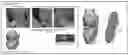 Fig. 01 - TISSUE FUSION COMPOSITION HAVING TISSUE ADHESION AND DIFFERENTIATION CHARACTERISTICS, AND PREPARATION METHOD THEREFOR
