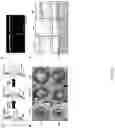 Fig. 06 - TISSUE FUSION COMPOSITION HAVING TISSUE ADHESION AND DIFFERENTIATION CHARACTERISTICS, AND PREPARATION METHOD THEREFOR