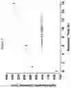 Fig. 04 - Solution Blow Spun Polymer Constructs, Compositions and Methods of Fabrications and Uses Relating Thereto