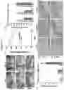 Fig. 14 - Solution Blow Spun Polymer Constructs, Compositions and Methods of Fabrications and Uses Relating Thereto