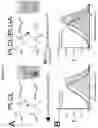 Fig. 15 - Solution Blow Spun Polymer Constructs, Compositions and Methods of Fabrications and Uses Relating Thereto