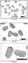 Fig. 03 - PREPARATION METHOD FOR NON-SPHERICAL HYDROGEL MICROPARTICLE EMBOLIC AGENT