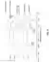 Fig. 06 - Chitosan nanofiber compositions, compositions comprising modified chitosan, and methods of use