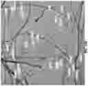 Fig. 16 - Chitosan nanofiber compositions, compositions comprising modified chitosan, and methods of use