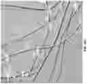 Fig. 17 - Chitosan nanofiber compositions, compositions comprising modified chitosan, and methods of use