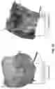 Fig. 34 - Chitosan nanofiber compositions, compositions comprising modified chitosan, and methods of use