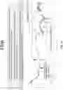 Fig. 42 - Chitosan nanofiber compositions, compositions comprising modified chitosan, and methods of use