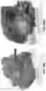 Fig. 78 - Chitosan nanofiber compositions, compositions comprising modified chitosan, and methods of use