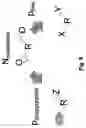 Fig. 06 - Composition comprising a cross-linked polyol