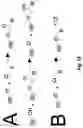 Fig. 10 - Composition comprising a cross-linked polyol