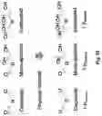 Fig. 12 - Composition comprising a cross-linked polyol