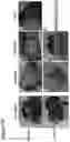 Fig. 16 - Composition comprising a cross-linked polyol
