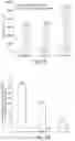 Fig. 02 - SELF-ASSEMBLING PEPTIDES AS BRONCHIAL OBSTRUCTION AGENTS