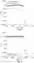 Fig. 03 - SELF-ASSEMBLING PEPTIDES AS BRONCHIAL OBSTRUCTION AGENTS