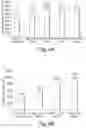 Fig. 06 - SELF-ASSEMBLING PEPTIDES AS BRONCHIAL OBSTRUCTION AGENTS