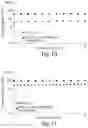 Fig. 10 - SELF-ASSEMBLING PEPTIDES AS BRONCHIAL OBSTRUCTION AGENTS