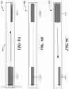 Fig. 13 - Methods of Amelioration of Cerebrospinal Fluid and Devices and Systems Therefor