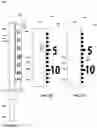 Fig. 08 - SYRINGE BARREL WITH IMPROVED SCALE PRESENTATION