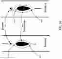 Fig. 38 - Systems and methods of detecting incorrect connections in a humidification system