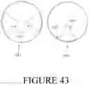 Fig. 44 - SYSTEM AND METHOD FOR DATA COLLECTION, RESEARCH, AND PROACTIVE MEDICAL TREATMENT