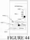 Fig. 45 - SYSTEM AND METHOD FOR DATA COLLECTION, RESEARCH, AND PROACTIVE MEDICAL TREATMENT
