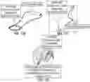 Fig. 17 - METHODS AND DEVICES FOR MODULATION OF INTEGRATED NEURAL NETWORKS TO INFLUENCE COMPOSITE SENSORY PROCESSES