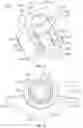 Fig. 08 - CATHETER CLAMPING DEVICE