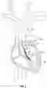 Fig. 02 - MECHANICAL CIRCULATORY SUPPORT SYSTEM WITH INSERTION TOOL