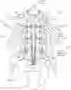 Fig. 01 - METHODS AND SYSTEMS FOR IMPLANTING A NEUROMODULATION SYSTEM AT A SURGICALLY OPEN SPINAL TREATMENT SITE