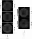 Fig. 12 - METHODS FOR MODULATING TEMPORAL INFRASTRUCTURE OF PULSED ELECTRIC FIELDS
