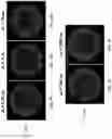 Fig. 13 - METHODS FOR MODULATING TEMPORAL INFRASTRUCTURE OF PULSED ELECTRIC FIELDS