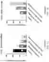 Fig. 09 - Increasing the Efficacy of Tumor Treating Fields (TTFields) by Applying the TTFields at Peak Intensity  Less Than Half the Time