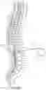 Fig. 03 - Bulkhead anchor for medical device leads