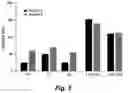 Fig. 06 - MAGNETIC STIMULATION OF THE SPINAL CORD TO RESTORE CONTROL OF BLADDER AND/OR BOWEL