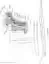 Fig. 15 - SYSTEMS AND METHODS FOR PROVIDING TREATMENT TO THE BRAIN USING MAGNETIC FIELD THERAPY